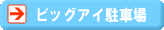 �r�b�O�A�C���ԏ�